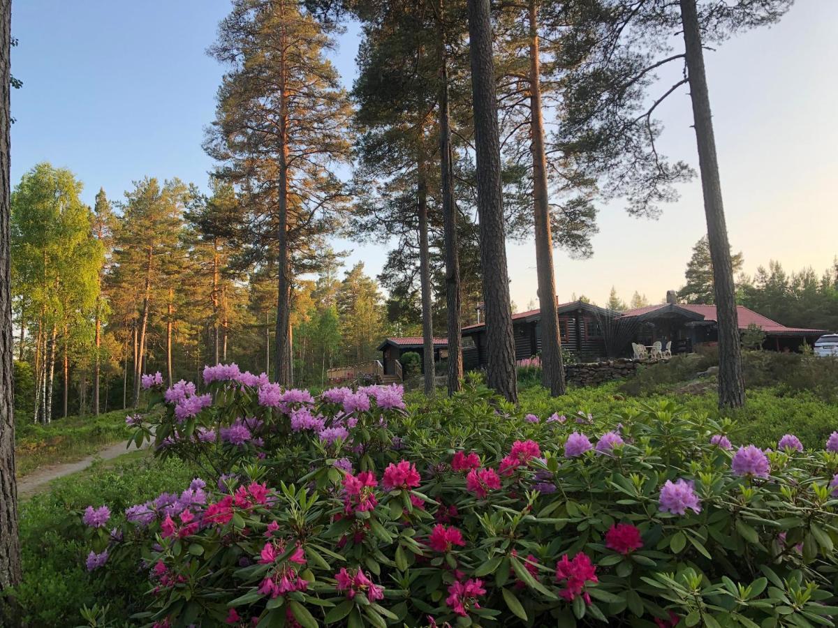 Timber Cottages With Jacuzzi And Sauna Near Lake Vaenern Karlstad Exterior foto